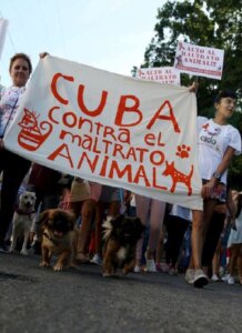 marcha-cuba-animales2